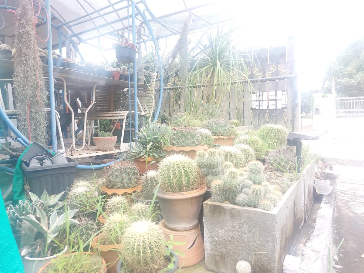 บริเวณสวน